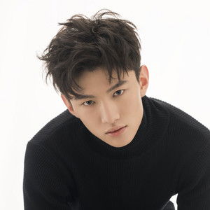 Wang Jiayu - Discover the TV Shows and Movies They Starred In