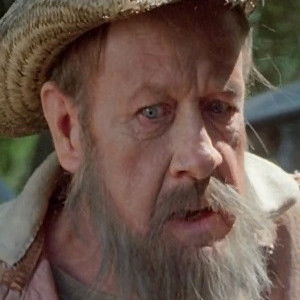 David Wiley - Discover the TV Shows and Movies They Starred In