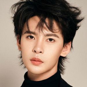 Jin Wang - Discover the TV Shows and Movies They Starred In