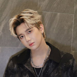 Nguyễn Phi Long - Discover the TV Shows and Movies They Starred In