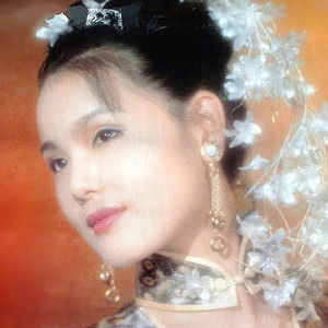 Liu Xin - Discover the TV Shows and Movies They Starred In