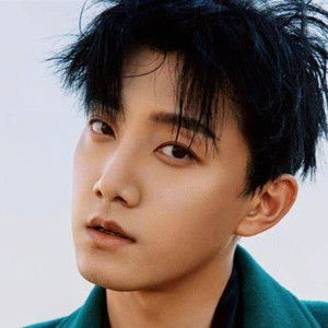 Fan Shiqi - Discover the TV Shows and Movies They Starred In