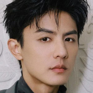 Liu Chang - Discover the TV Shows and Movies They Starred In