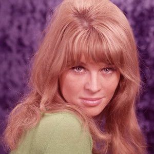 Julie Christie - Discover the TV Shows and Movies They Starred In