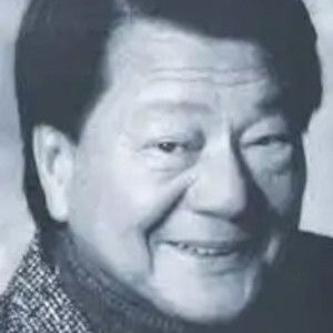 David Chow - Discover the TV Shows and Movies They Starred In