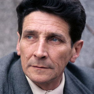 Tomasz Zaliwski - Discover the TV Shows and Movies They Starred In