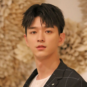 Wen Yifan - Discover the TV Shows and Movies They Starred In