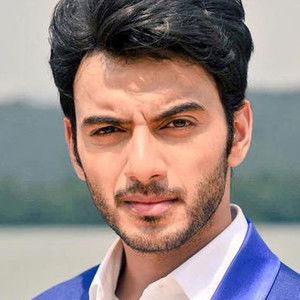 Vikram Singh Chauhan - Discover the TV Shows and Movies They Starred In