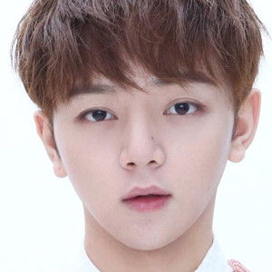 Deng Zhiyuan - Discover the TV Shows and Movies They Starred In