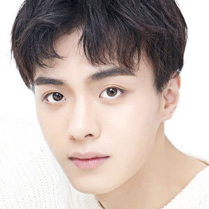 Zhang Wei Hang - Discover the TV Shows and Movies They Starred In
