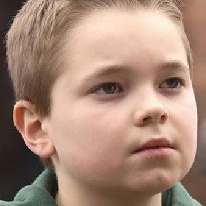 Zak Ludwig - Discover the TV Shows and Movies They Starred In