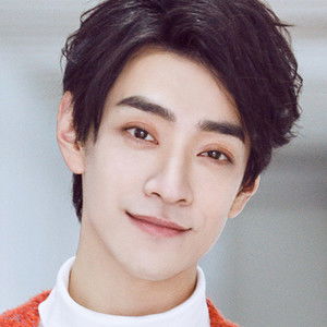 Zheng Yunlong - Discover the TV Shows and Movies They Starred In