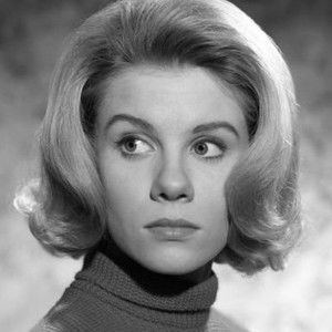 Davey Davison - Discover the TV Shows and Movies They Starred In