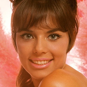 Jo Collins
