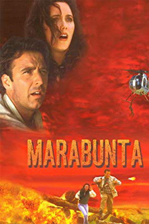 Legion of Fire: Killer Ants