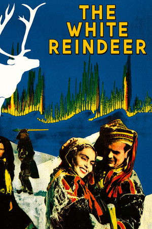 The White Reindeer