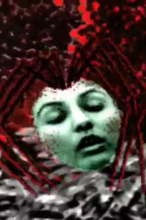 tHE bIRTh of bRAiNFly