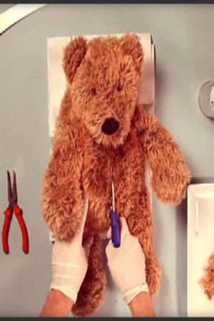 Teddy Has an Operation