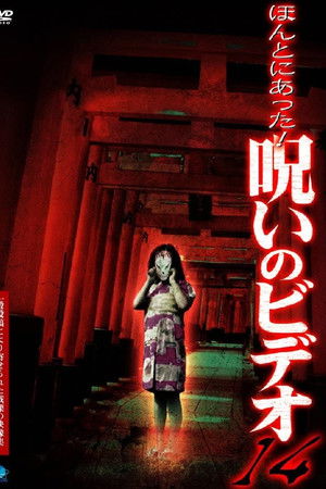 Honto Ni Atta! Noroi No Video 14