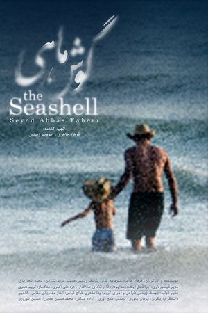 The Seashell