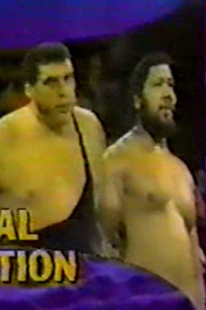 October 28, 1989 - Superstars of Wrestling 165
