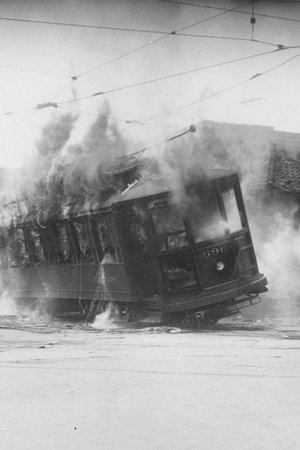 the cry of the earth