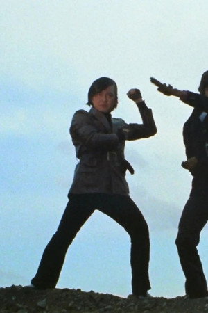 The Eight Kamen Riders