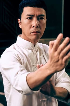 Ip Man 3