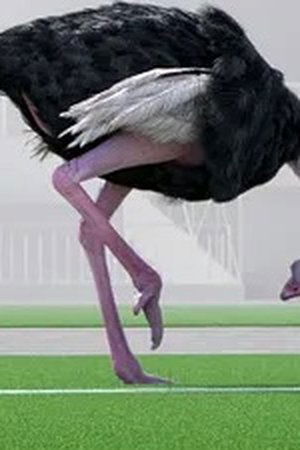 10. epizoda