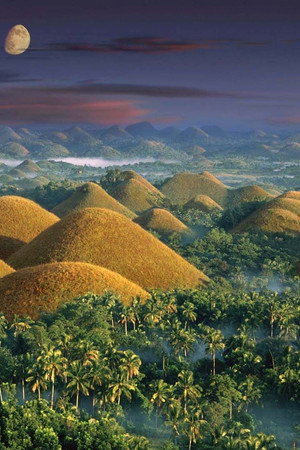 The Chocolate Hills of Bohol