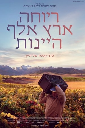 Rioja, la tierra de los mil vinos