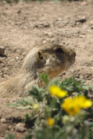 4. epizoda