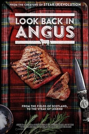 Look Back In Angus