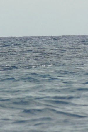 4. epizoda