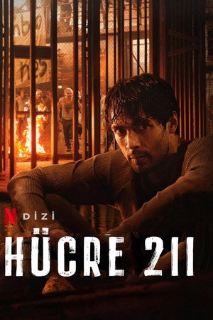 Hücre 211