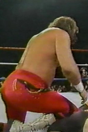 December 10, 1988 - Superstars of Wrestling 119