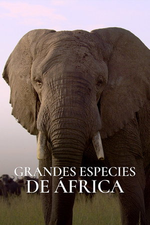 Great Species of Africa