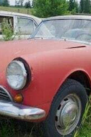 Zůstat spolu, nebo jít?