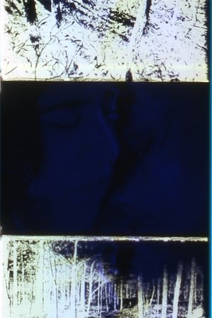 Later That Same Night