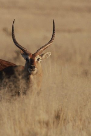 2. epizoda