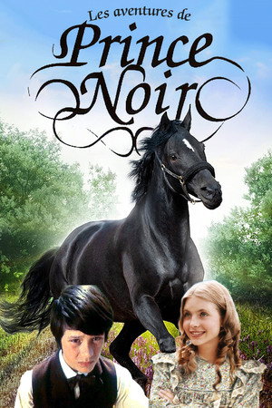 Les Aventures de Prince Noir