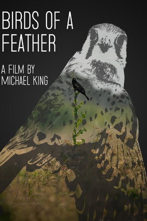 Birds of a Feather