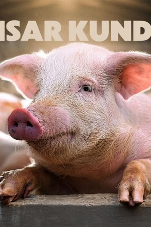 If Pigs Could Talk