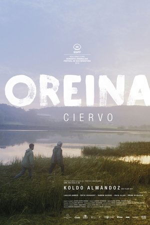 Oreina