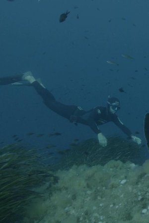 epizoda