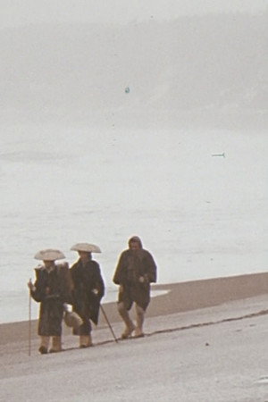 Suicide Song of Lovers