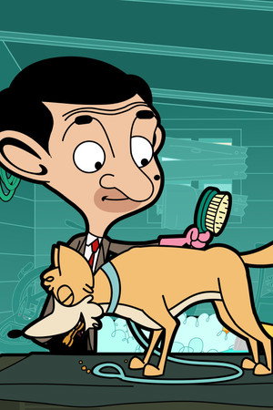 Bean The Pet Groomer