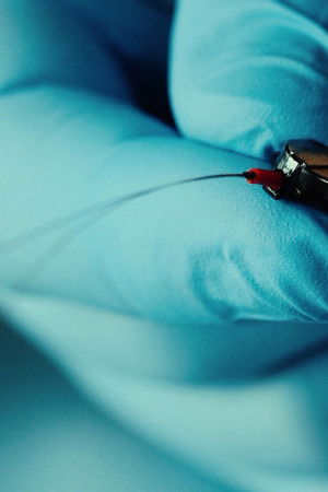 Informace z tajných zdrojů