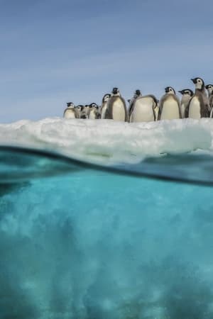 Tajemství Antarktidy