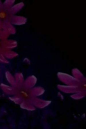 The Miracle Flower Key